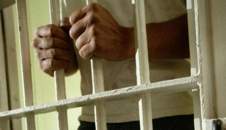 232-0.filakiii.42c6d17102a0642c2f7b007ca6fe6036