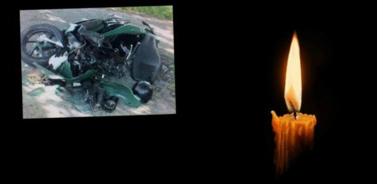 252-79280.leptomeriaantreas.42c6d17102a0642c2f7b007ca6fe6036