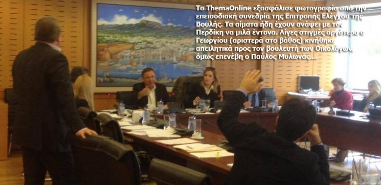 232-80385.vouli-hamos-gewrgiou-perdikis5.42c6d17102a0642c2f7b007ca6fe6036