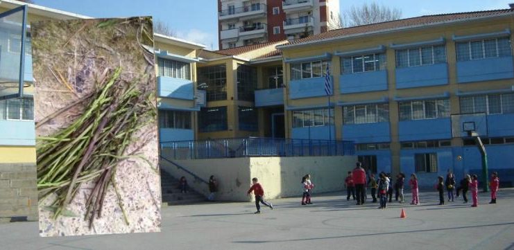 382-81172.sxoleio-dieu8intis-spiti-touαγρελια.42c6d17102a0642c2f7b007ca6fe6036