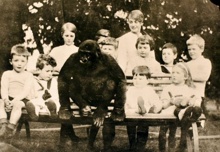 Gorrila-Daniel-1-700x487