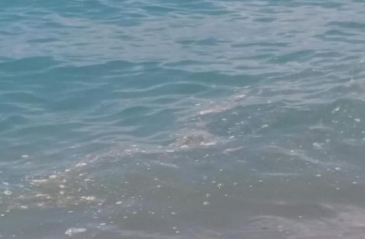 38761843_10212654721135457_3531485980953411584_n