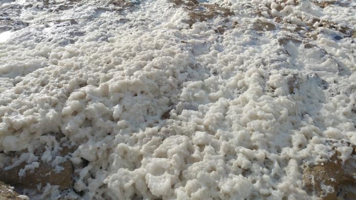 cache_728x3000_Analog_medium_624864_625174_13122018